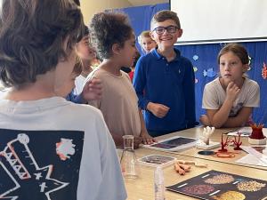 Children observing at different stalls