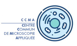 logo CCMA