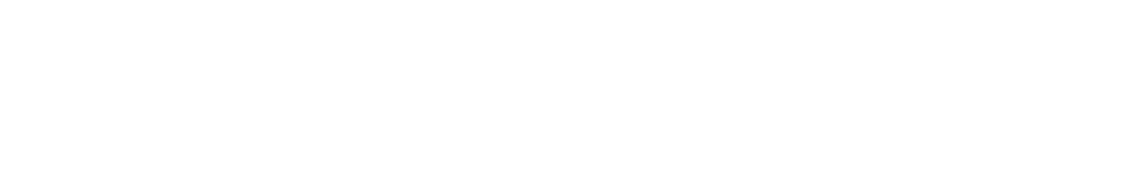 logo-Elmi